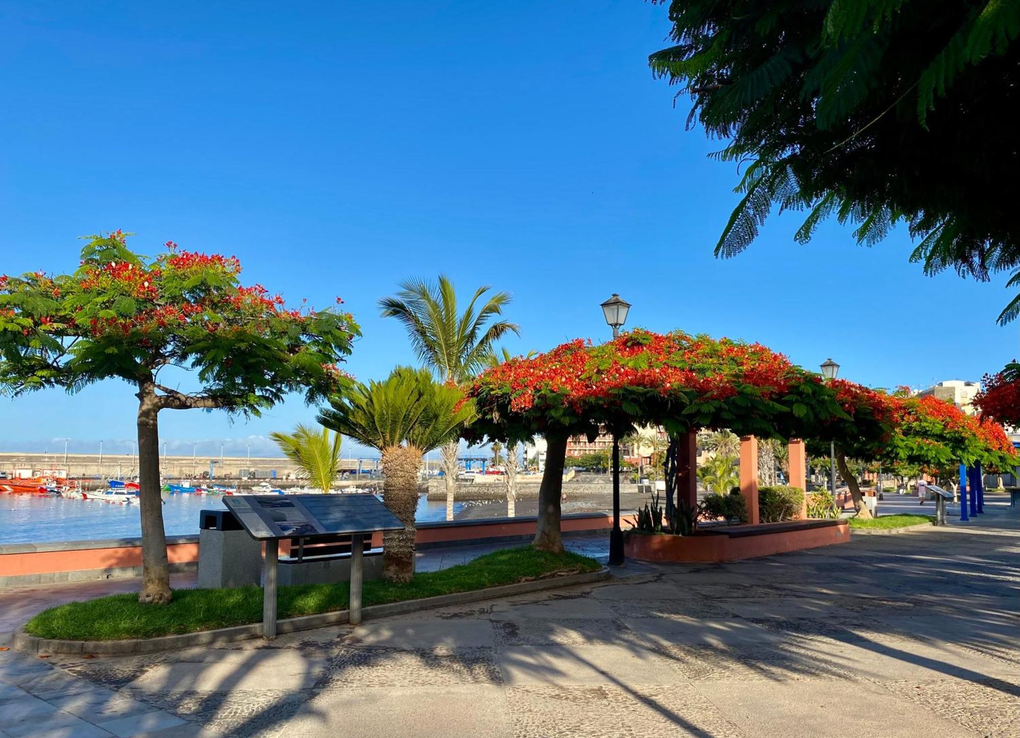 Casa Antonio - Apartamento Sol Playa de San Juan  Ngoại thất bức ảnh